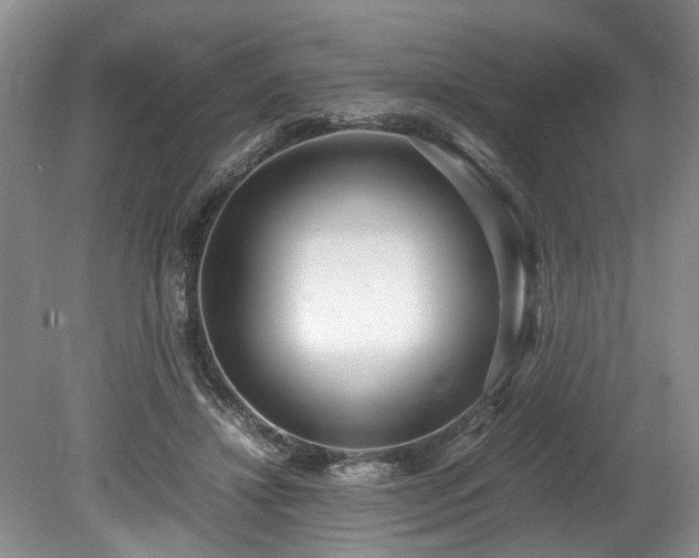 X0000078880452200611131247