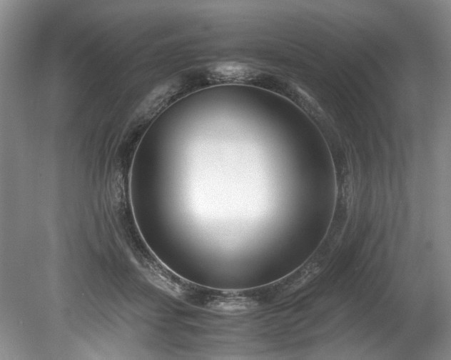X0000078880459200611131247