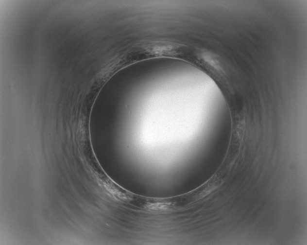 X0000078880461200611131247