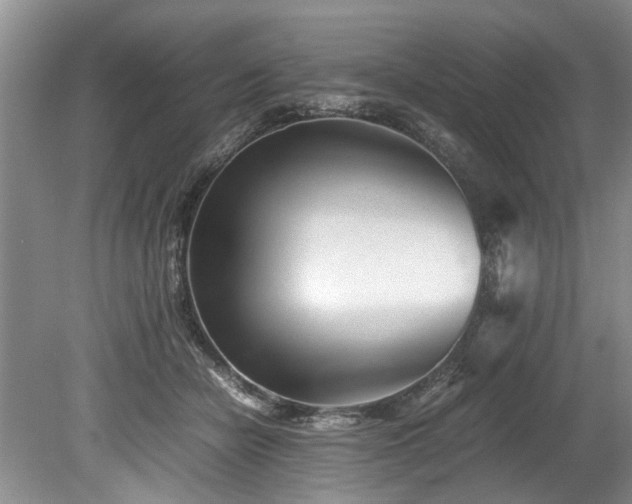 X0000078880462200611131247
