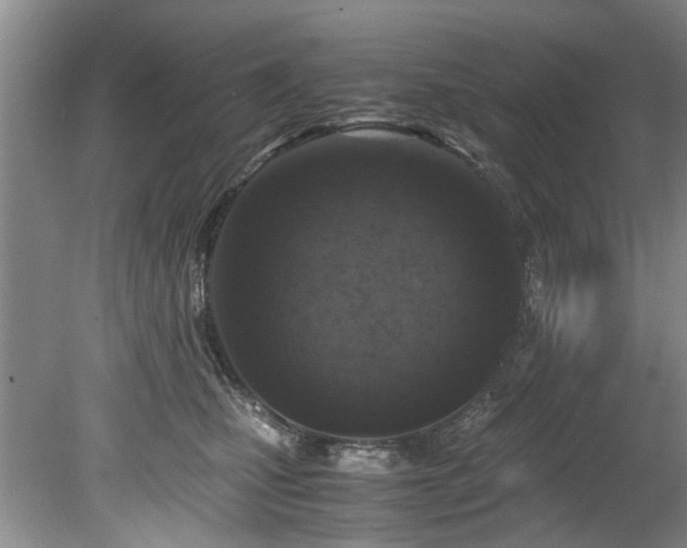 X0000078880471200611131247