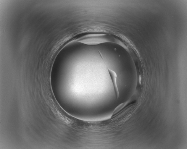 X0000078880481200611131247