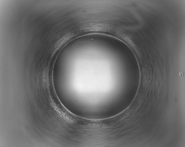X0000078880482200611131247
