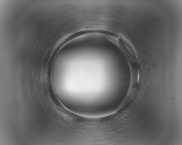 X0000078880483200611131247