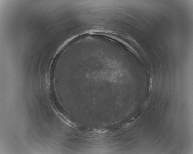 X0000078880484200611131247