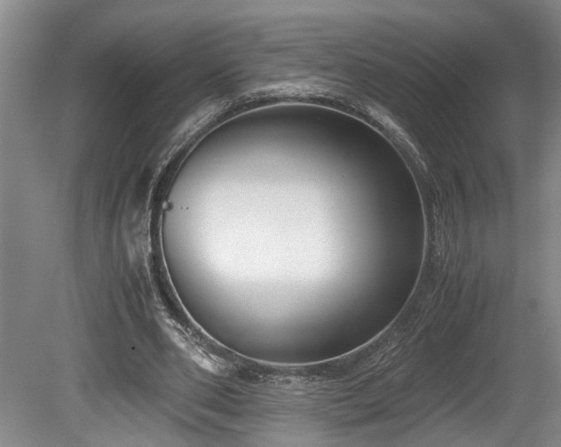 X0000078880486200611131247