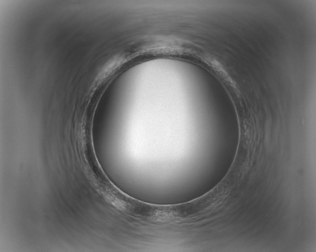 X0000078880487200611131247