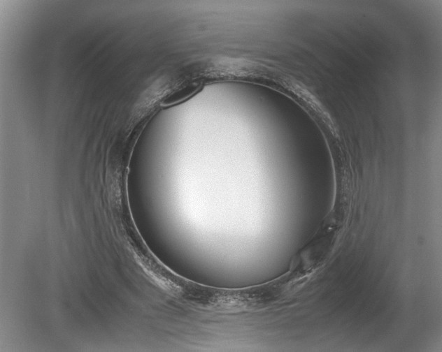 X0000078880489200611131247