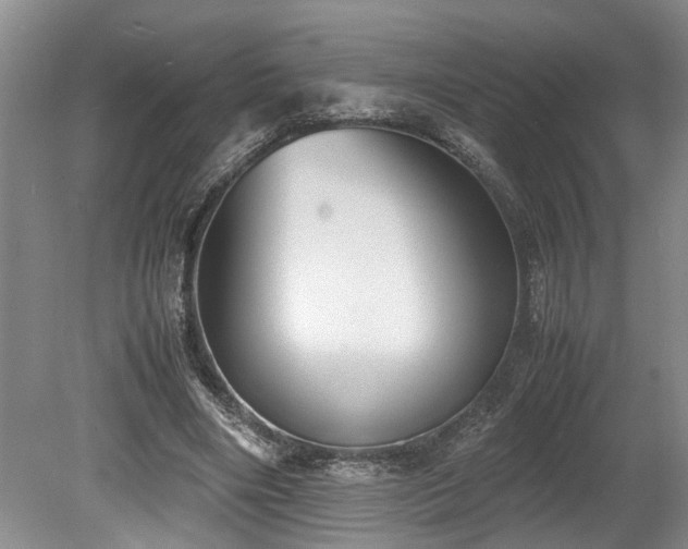 X0000078880490200611131247