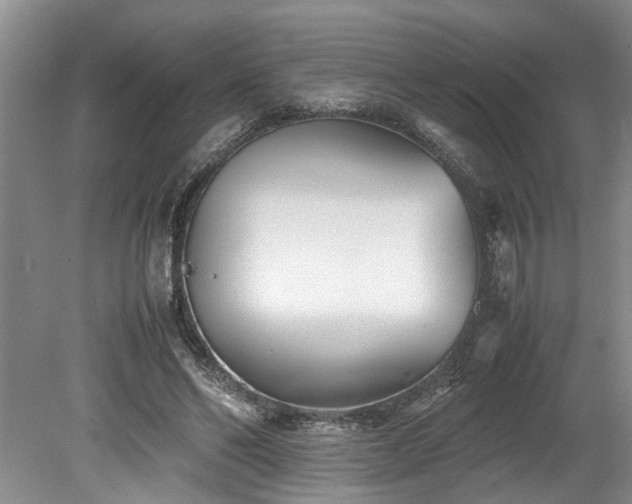 X0000078880494200611131246