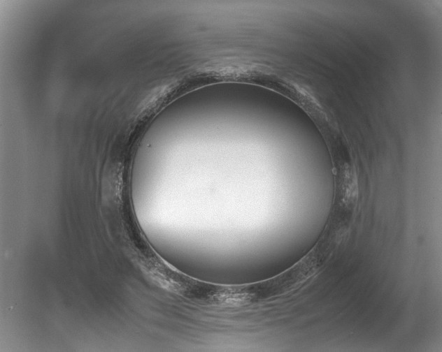 X0000078880495200611131246