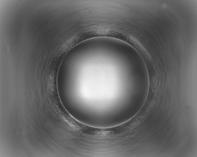 X0000078880497200611131246