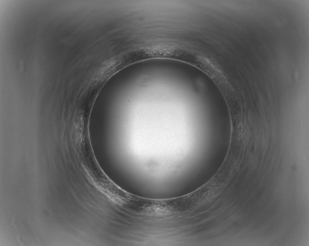 X0000078880498200611131246