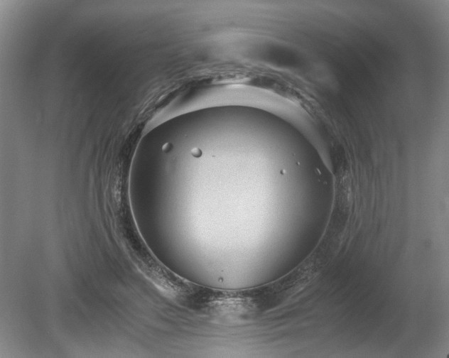 X0000078880499200611131246