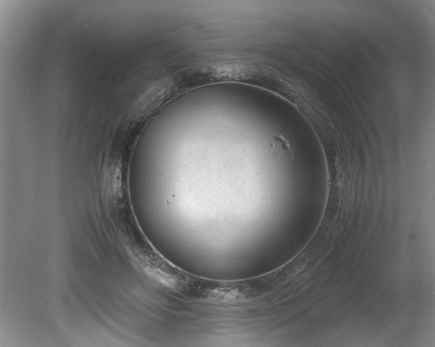 X0000078880502200611131246