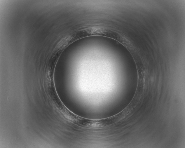 X0000078880506200611131246