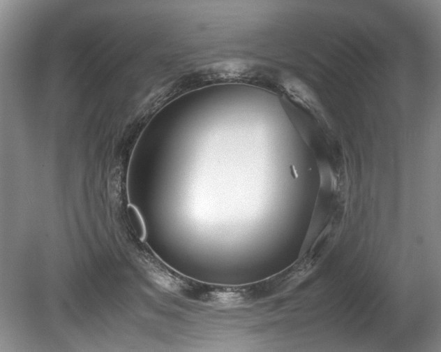 X0000078880509200611131246