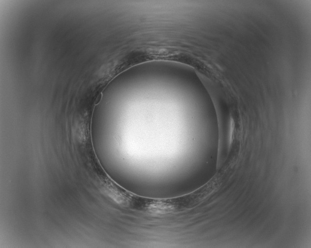X0000078880515200611131246