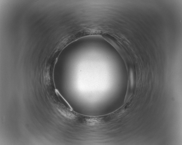 X0000078880516200611131246