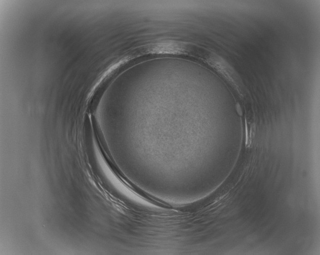 X0000078880531200611131245