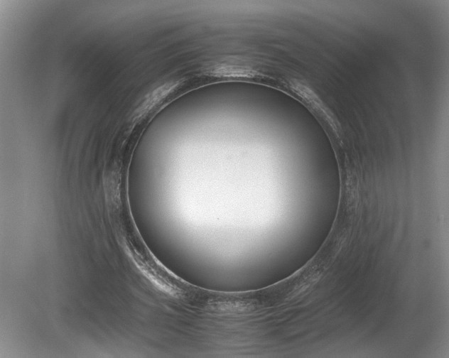 X0000078880533200611131245