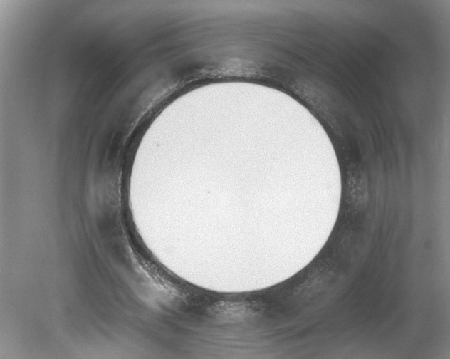 X0000078880534200611131245