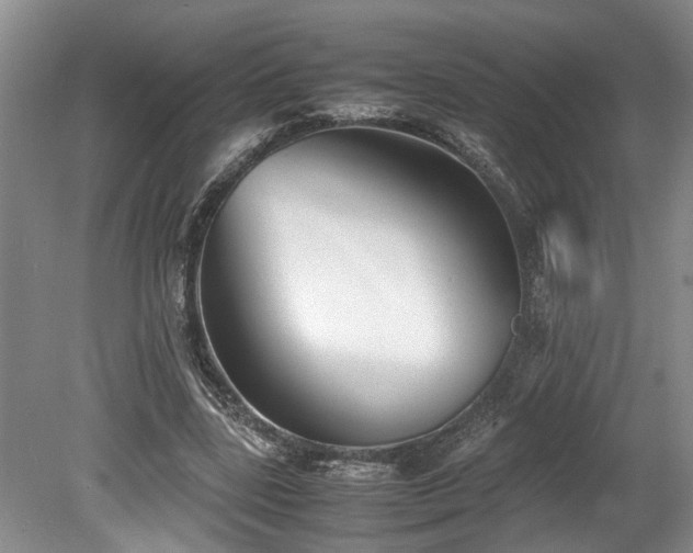 X0000078880539200611131245