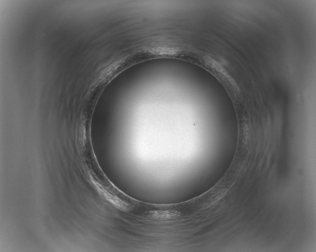 X0000078880541200611131245