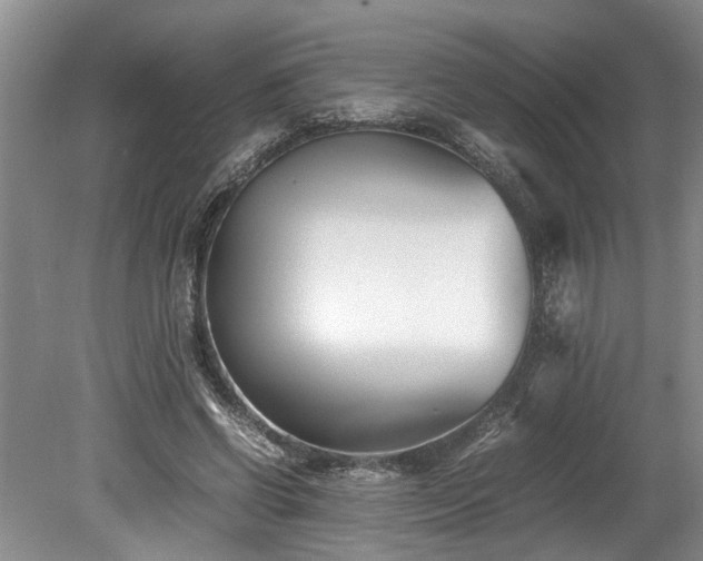 X0000078880542200611131245
