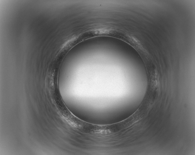 X0000078880543200611131245