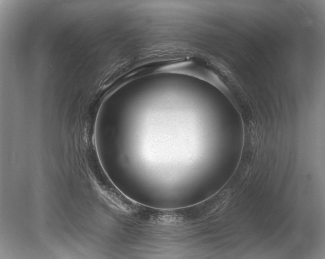 X0000078880546200611131245