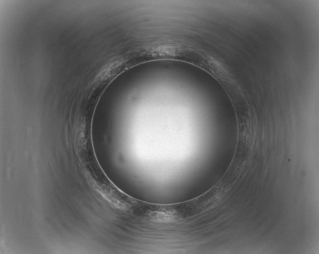 X0000078880548200611131245