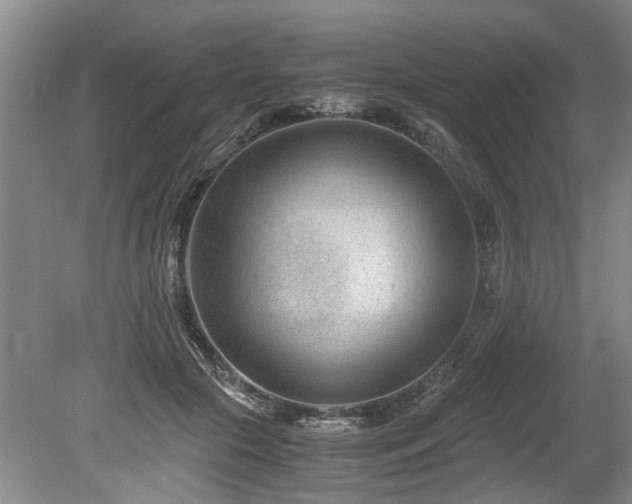 X0000078880553200611131245