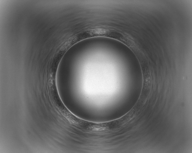 X0000078880555200611131246