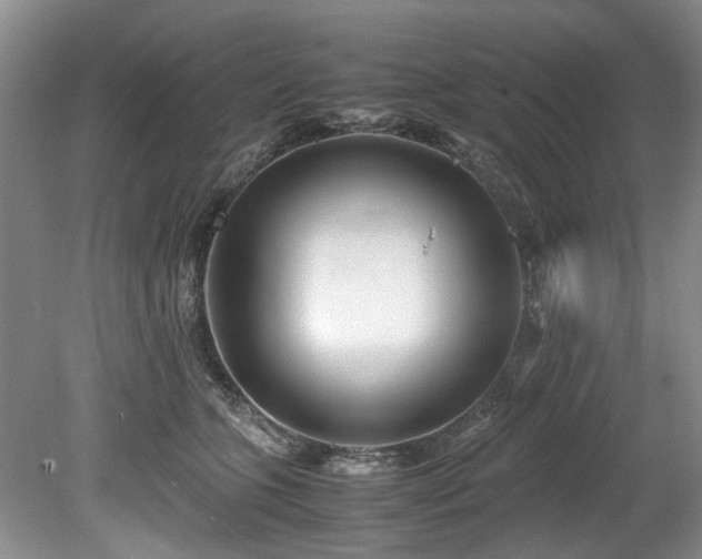 X0000078880563200611131246