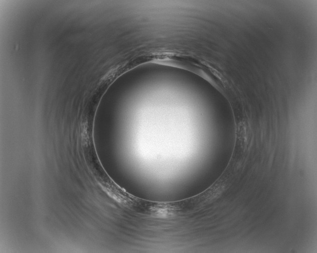 X0000078880564200611131246