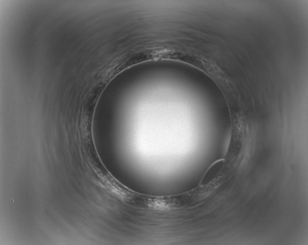 X0000078880565200611131246