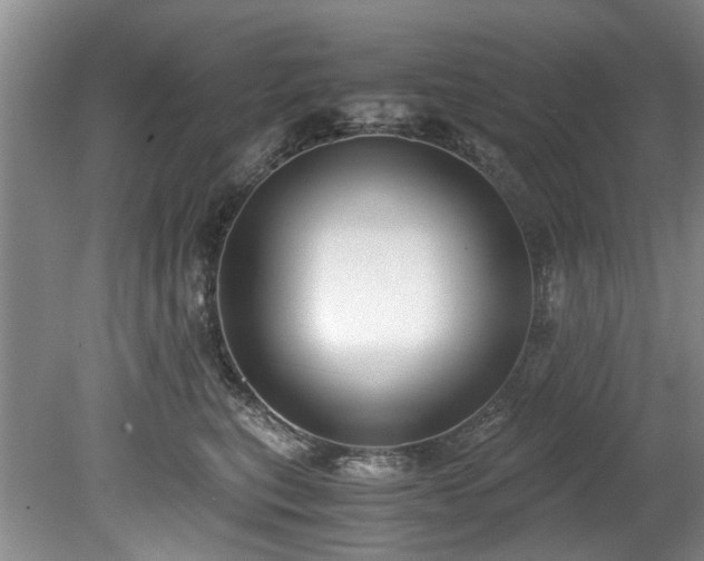 X0000078880567200611131246