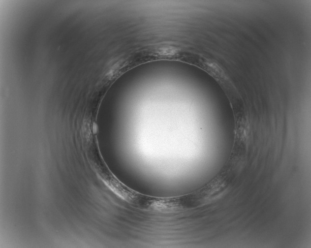 X0000078880568200611131246