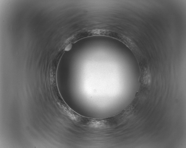 X0000078880569200611131246