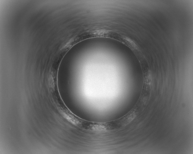 X0000078880572200611131246