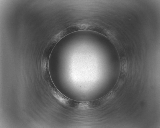 X0000078880574200611131246