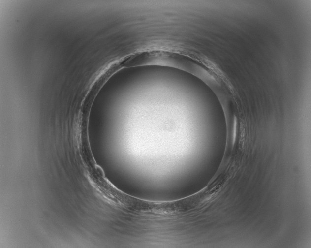X0000078880580200611131245