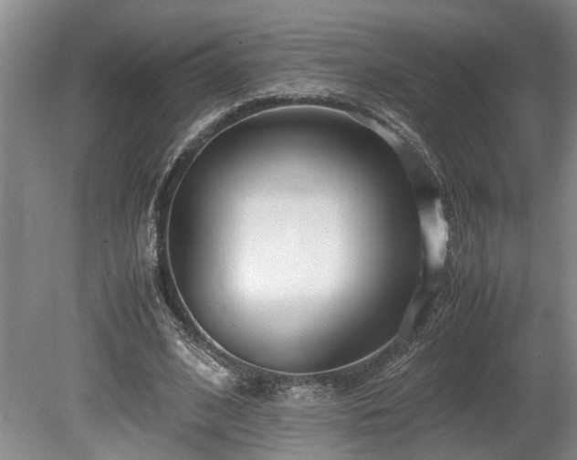 X0000078880584200611131245