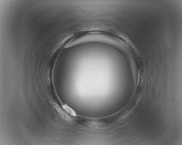 X0000078880585200611131245