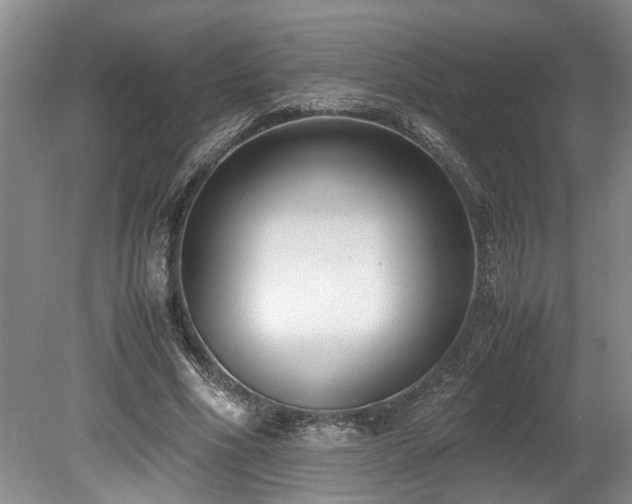 X0000078880586200611131245