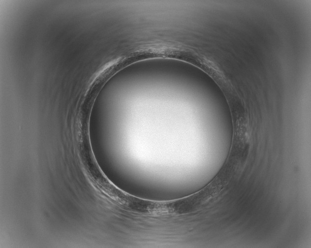 X0000078880587200611131245