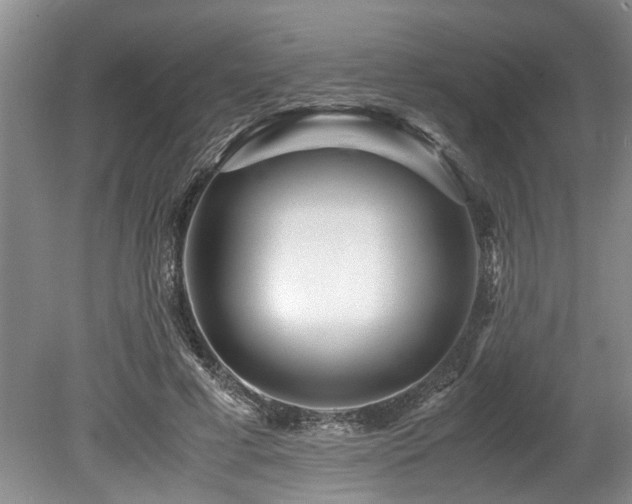 X0000078880593200611131245
