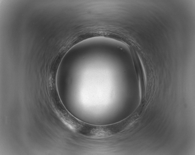X0000078880597200611131245