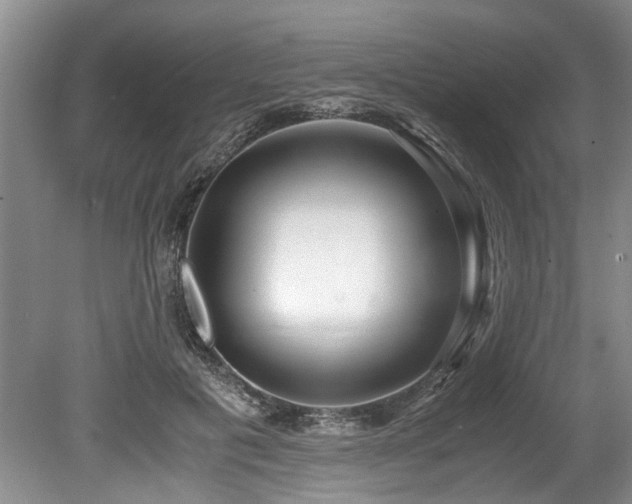 X0000078880601200611131245